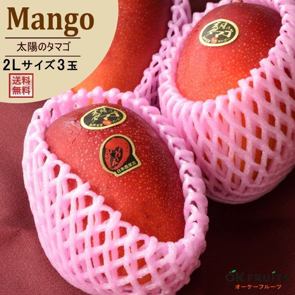 母の日 プレゼント プチカーネーション＆健康茶付き サプライズ ギフト マンゴー 太陽のタマゴ 大玉 2Lサイズ×3玉入 化粧箱入り 贈り物 太陽のタマゴ大玉2L 大玉 3玉
