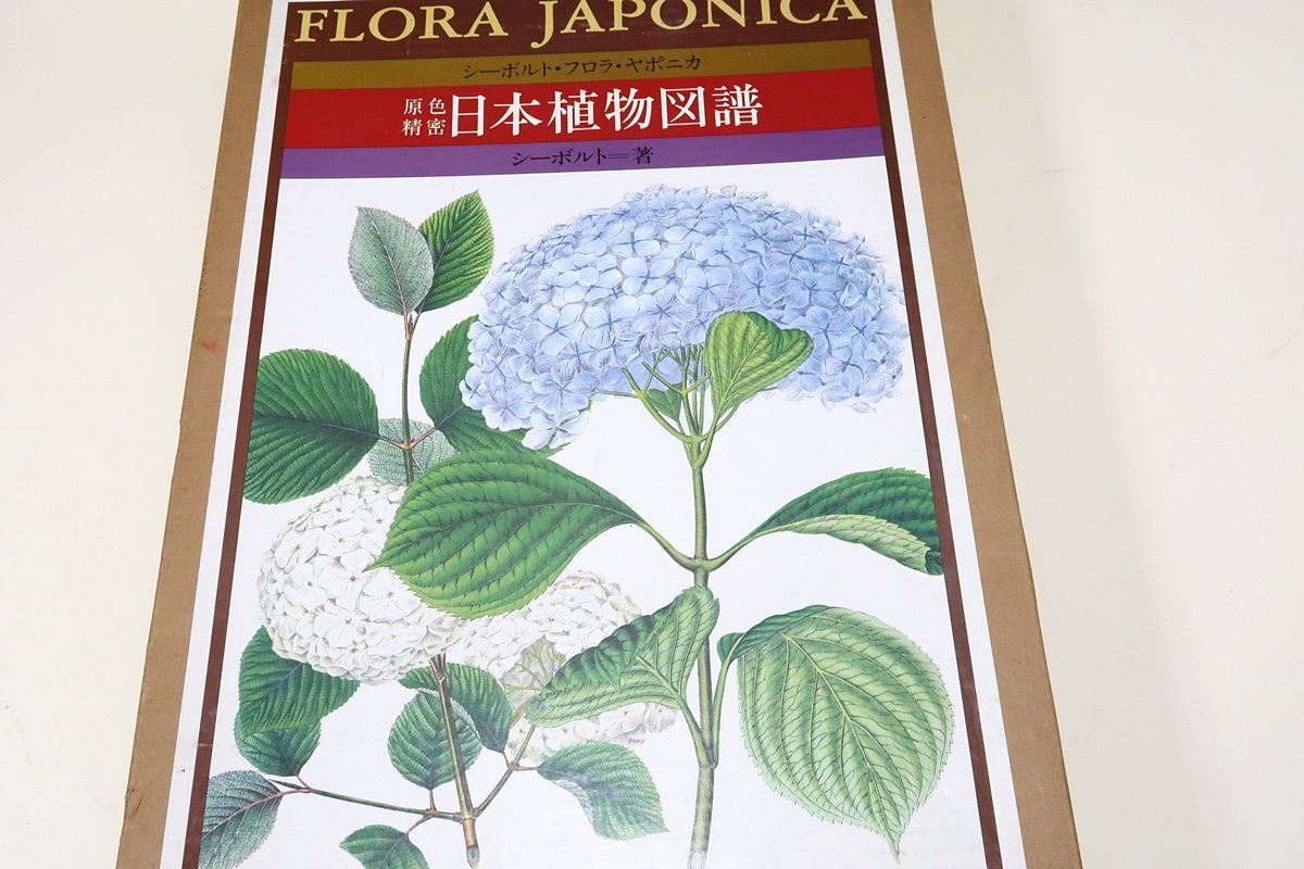 シーボルト「原色精密 日本植物図譜」 - 本