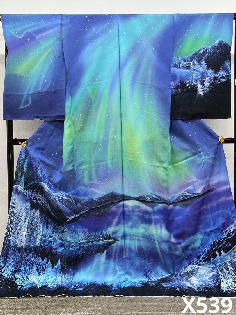 訪問着 未仕立て品 仮絵羽 銀通し オーロラ 正絹 八掛付き 大衆演劇