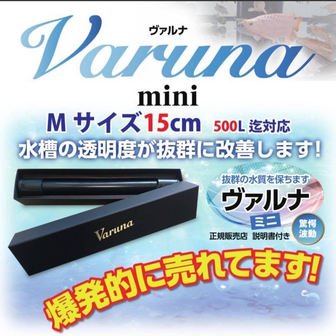 ヴァルナミニ 水質改善に!病原菌や感染症を強力抑制し透明度が ヴァルナミニ 水質改善に!病原菌や感染症を強力抑制し透明度が