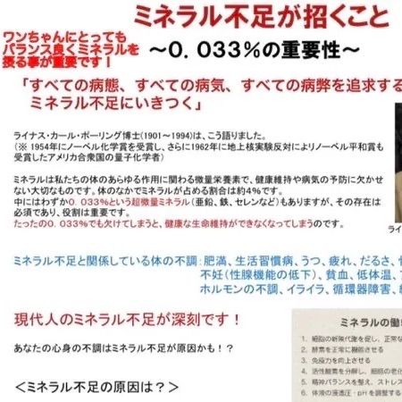 作りたておやつ！パパが作った国産無添加鶏むね肉&砂肝ジャーキーセット