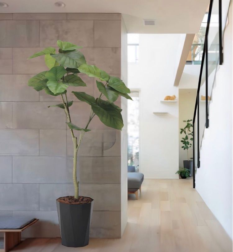 光触媒 人工観葉植物 ウォールグリーン フレッシュウンベラータ1.35m