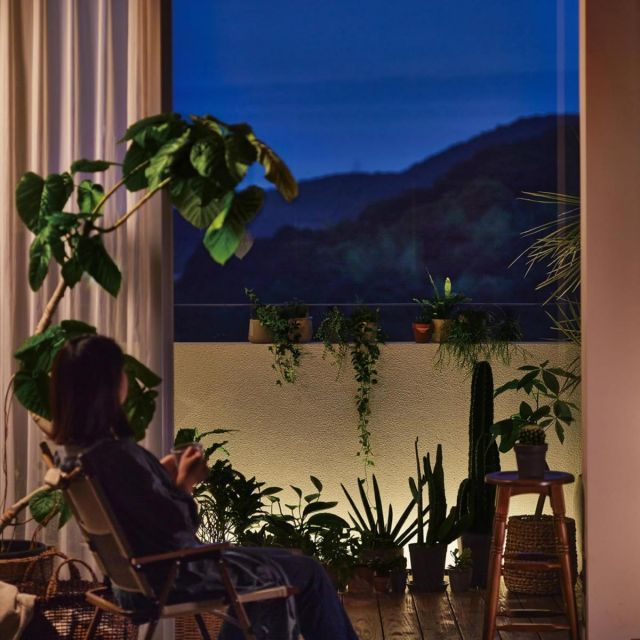 額に入ってます　与那覇朝大 期間限定キャンペーン 額に入ってます 与那覇朝大 絵画 - 絵画