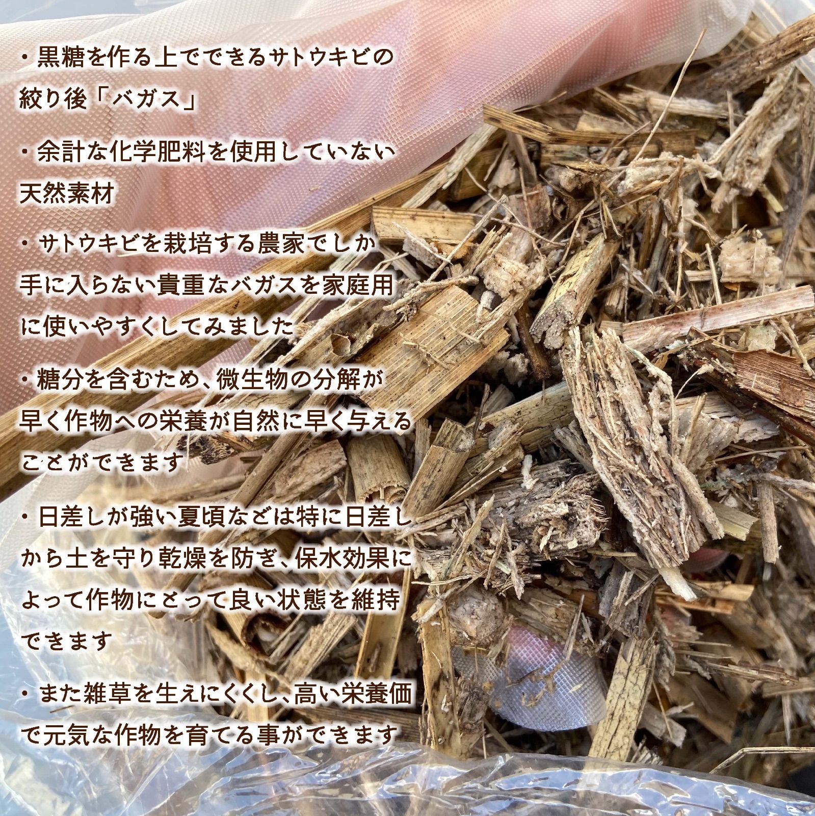 #13【南国の自然資材「乾燥バガス」1kg】サトウキビ農家でも一部の人しか手に入らない自然素材　家庭菜園・園芸・畑・農業用の土壌改良やマルチング&堆肥に　　　草花 ガーデニング雑貨 野菜作り 観葉植物栽培 フルーツ作り ハーブ 園芸雑貨