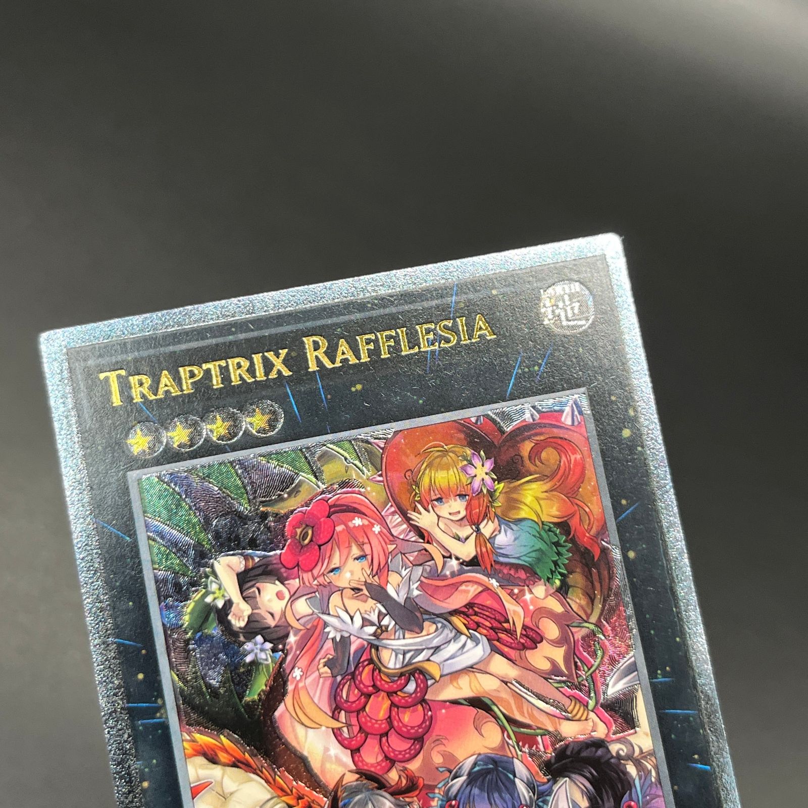 EU版　レリーフ　フレシアの蠱惑魔　英語版 遊戯王 フレシアの蟲惑魔 ドイツ語版 レリーフ EU 英語版 a
