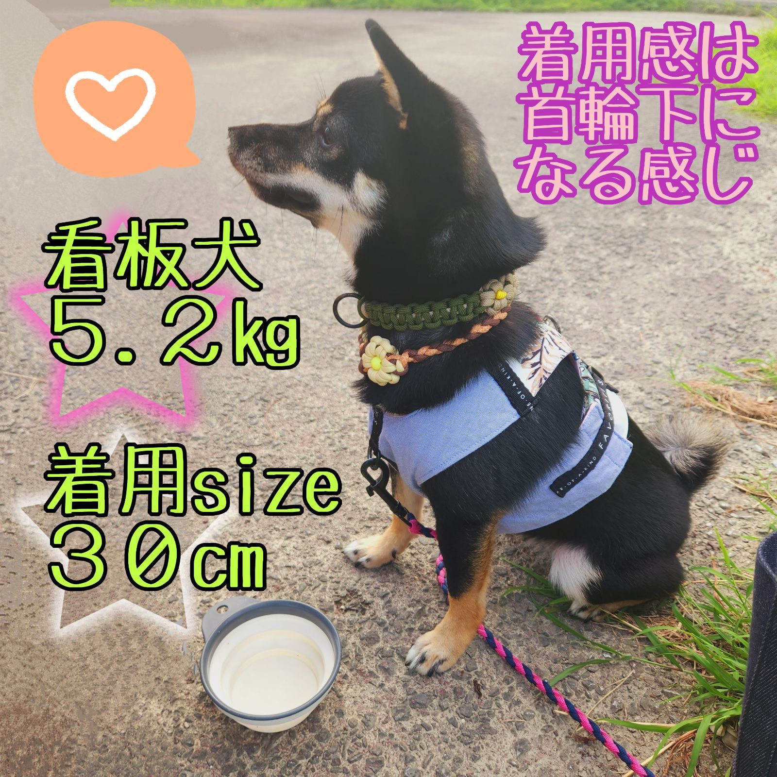 オプション取り外し可能リボン紹介ページ★縫い付け迷子札 シュシュ猫首輪 名前59 オプション取り外し可能リボン紹介ページ☆縫い付け迷子札