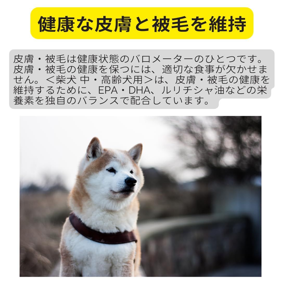 健やかな中 高齢期のサポート