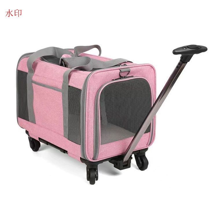 メッシュ