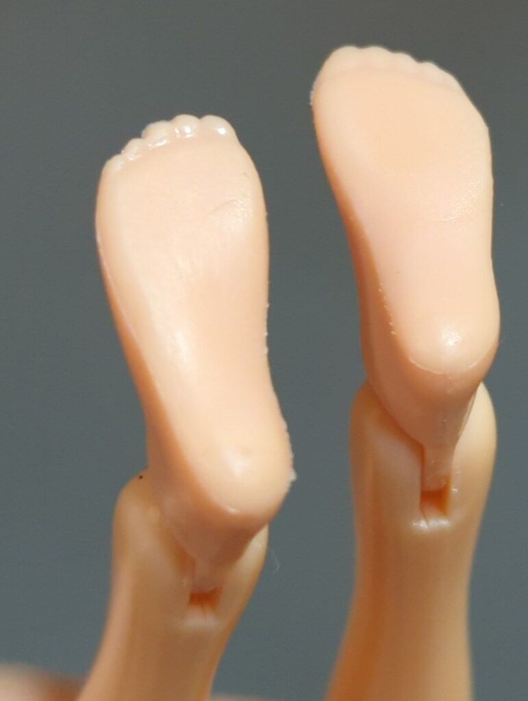 ペットワークス CCS-momoko Today s momoko 1105Br WWW_STEELWINDOWSANDDOORS_COM