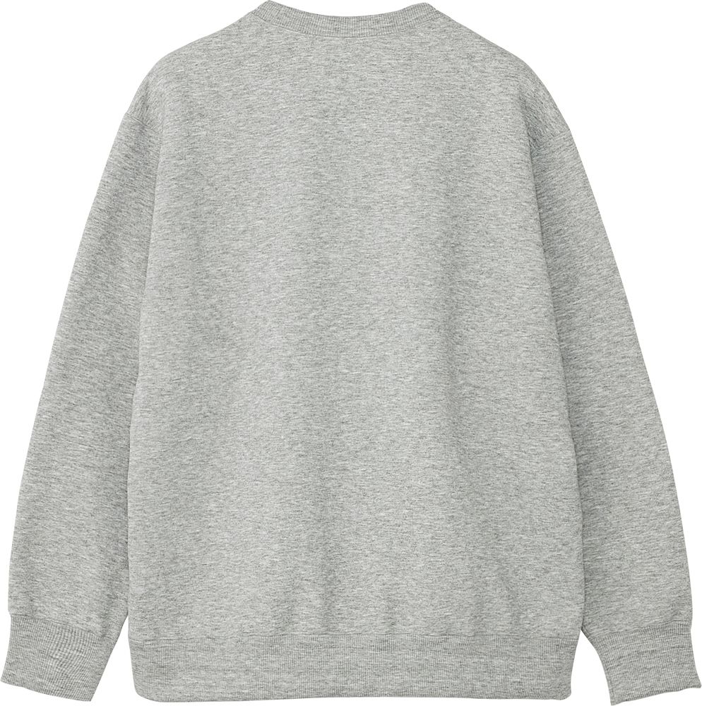 ザ ノース フェイス THE NORTH FACE アウトドア スモールロゴヘザースウェットクルー Small Logo Heather Sweat Crew トップス スウェット シャツ メンズ レディース キャンプ レジャー NT 6233 Z MIXグレ