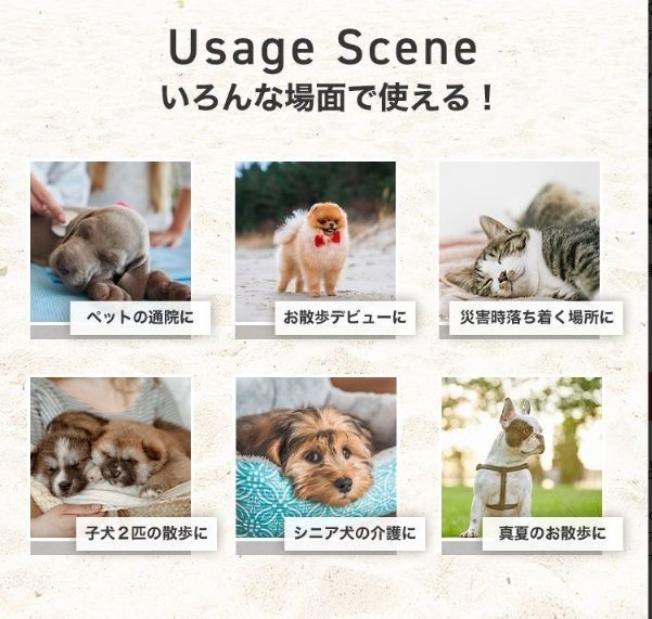 超小型犬 小型犬