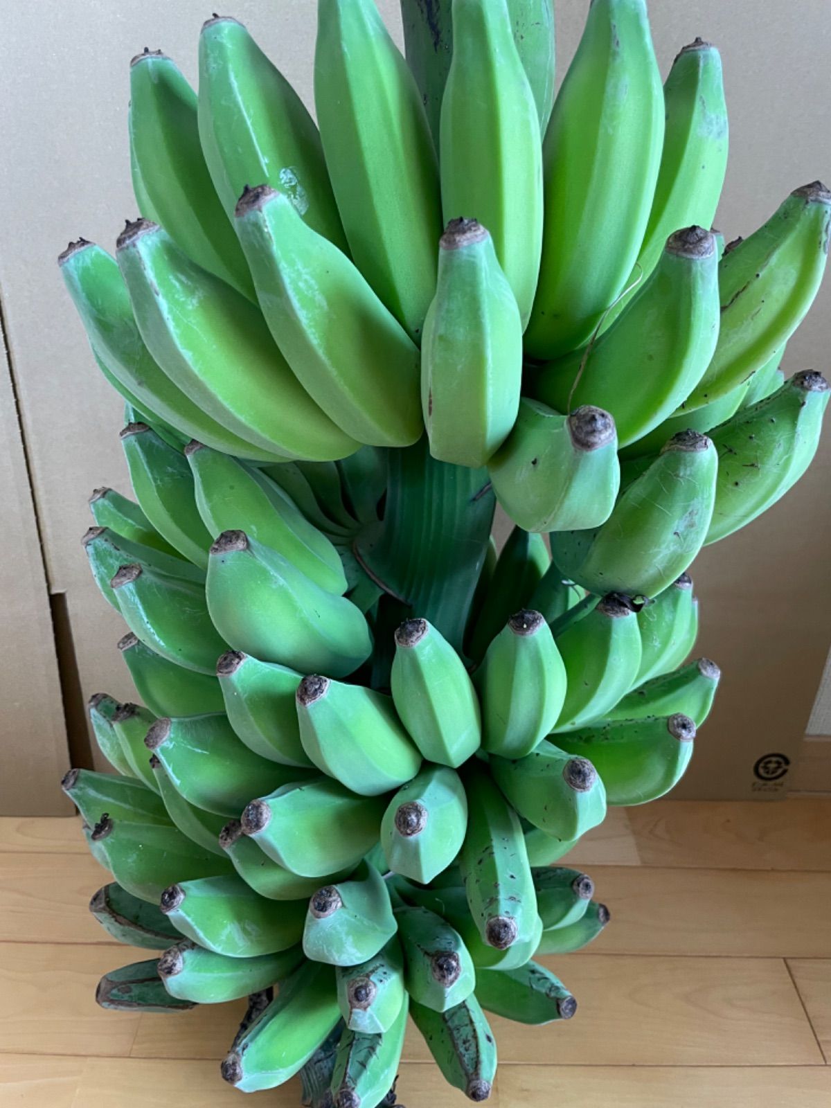 超人気 沖縄県産 アップルバナナ