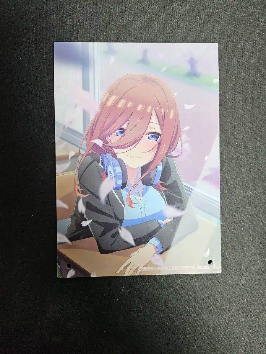 5 イコール・ブライド 中野三区 アクリル ボード