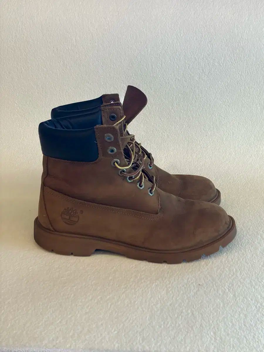 Timberland ティンバーランド 6 インチ ウォーカーブーツ 250