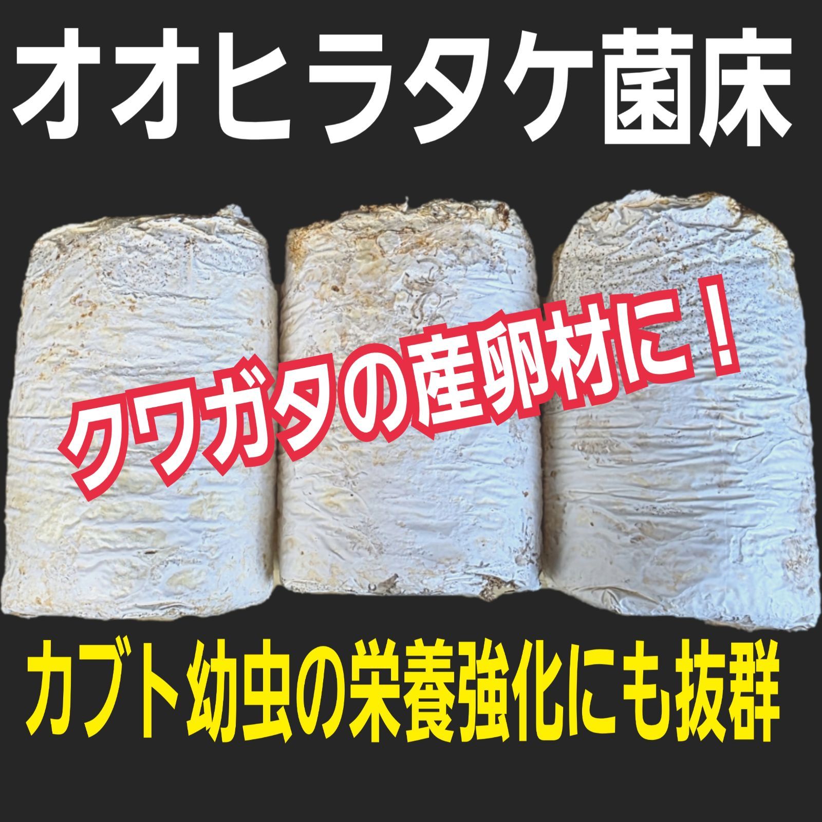 20ブロック】オオヒラタケ菌床 カブトムシ幼虫の栄養強化に！クワガタ