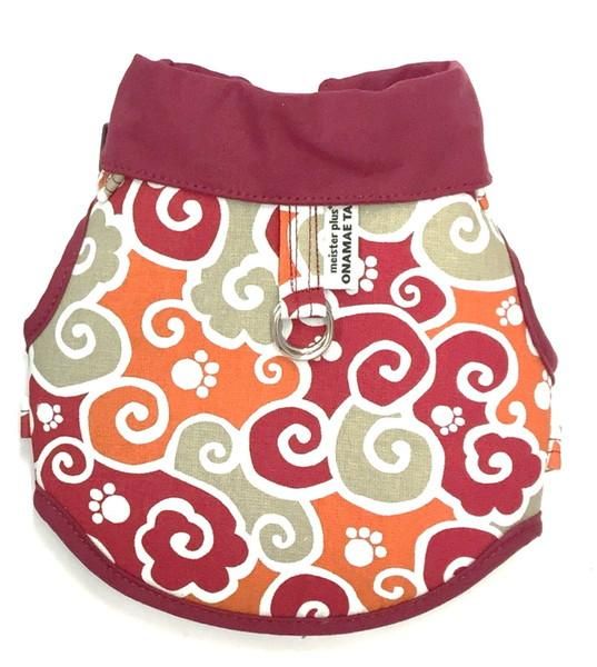 フェロカクタス文鳥丸 古大株◇ドライガーデン多肉サボテン実生アガベ