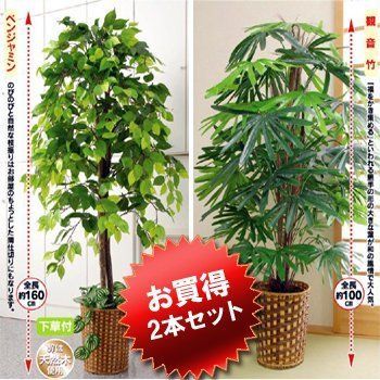 軽やかな ビータ Vita ベンジャミン 観音竹 人工観葉植物2本セット ベンジャミン 直径幅70×高さ160cm|観音竹 直径幅60×高さ100cmフェイクグリーン 大型 竹カゴ付き 鉢付き 【全品送料無料】