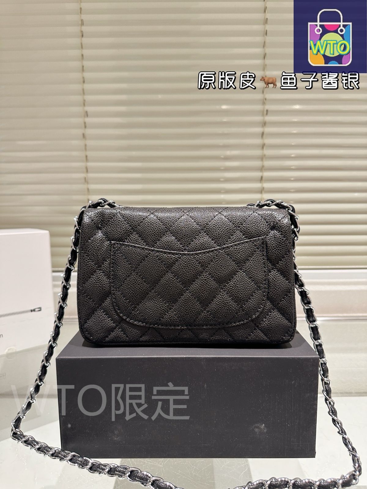 今日 Chanel シャネル 大 Mini CF ハンドルバージョン 20×12×6cm