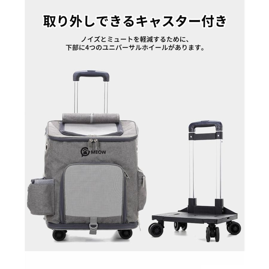 散歩 旅行