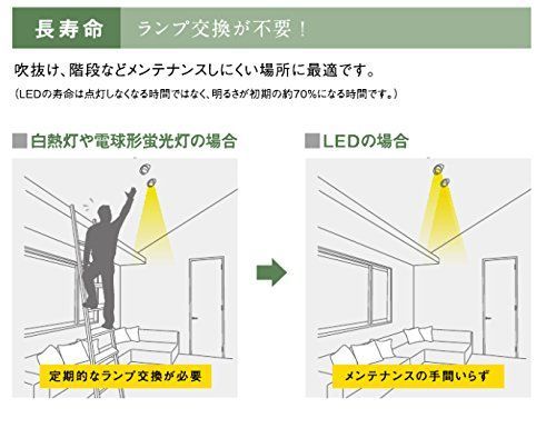 吉野杉使用 LED