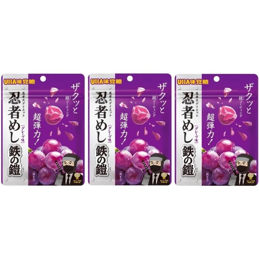UHA味覚糖 面倒臭 忍者めし鉄の鎧 グレープ味 UHA味覚糖 面倒臭 忍者めし鉄の鎧 グレープ味
