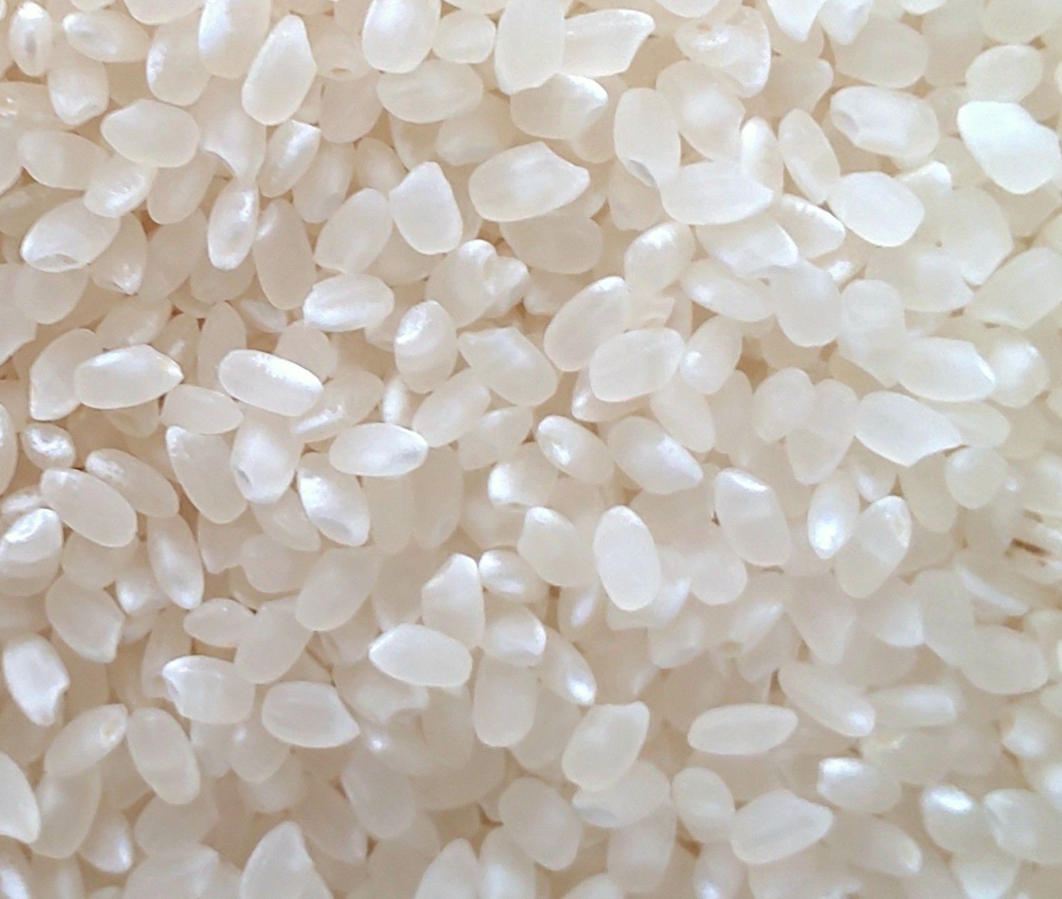 メルカリShops - 令和4年産 三重県伊賀市産 コシヒカリ25㎏ 無洗米 (送料 精米料 消費税込)
