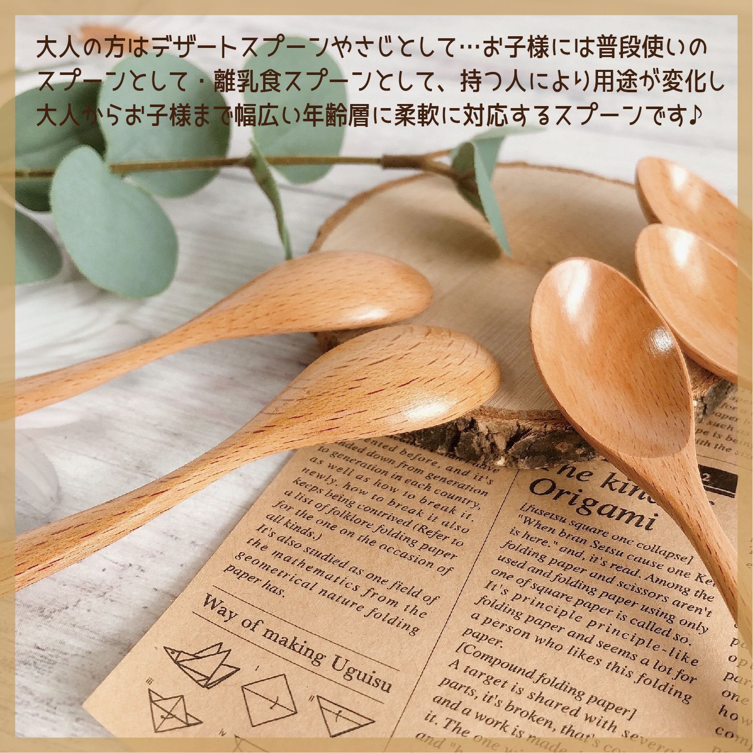 天然木製 ブナの木デミスプーン お得な5本セット【デザートスプーン 