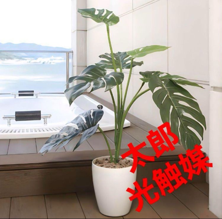 光触媒 人工観葉植物 ウォールグリーン フェイクグリーン モンステラ75