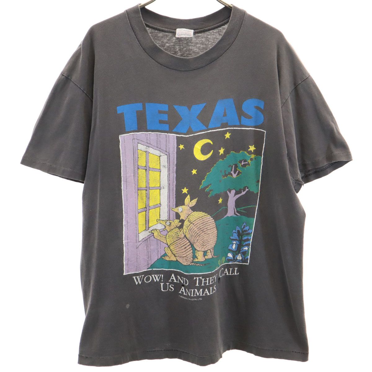 USA製 90s ヴィンテージ Tシャツ アメリカ stedman グランジ L vintage 80s 90s print T-shirt Stedman MADE IN USA プリントT