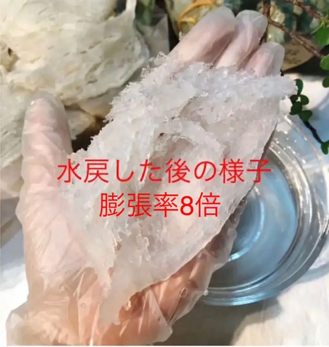 店長お勧め❗️官燕盞品質に相当❗️天然大燕条 燕の巣100g - メルカリ