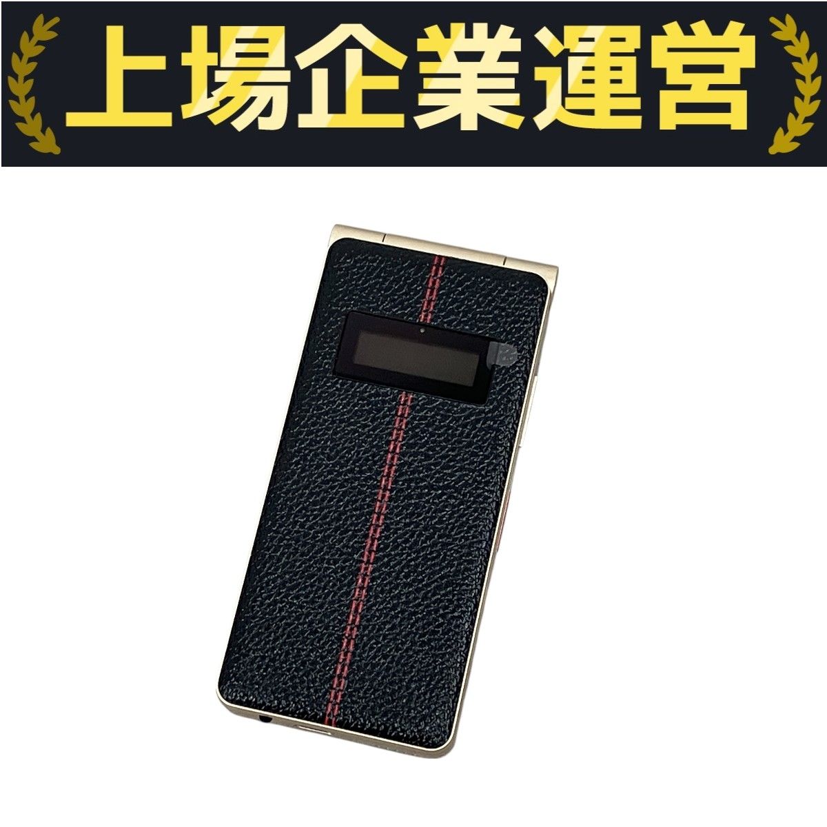 P-UP MD-06P ウルフブラック　美品（ほぼ未使用） Mode1 RETRO II MD-06P ウルフブラック 64GB 3.5インチ