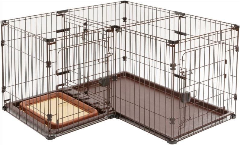 犬