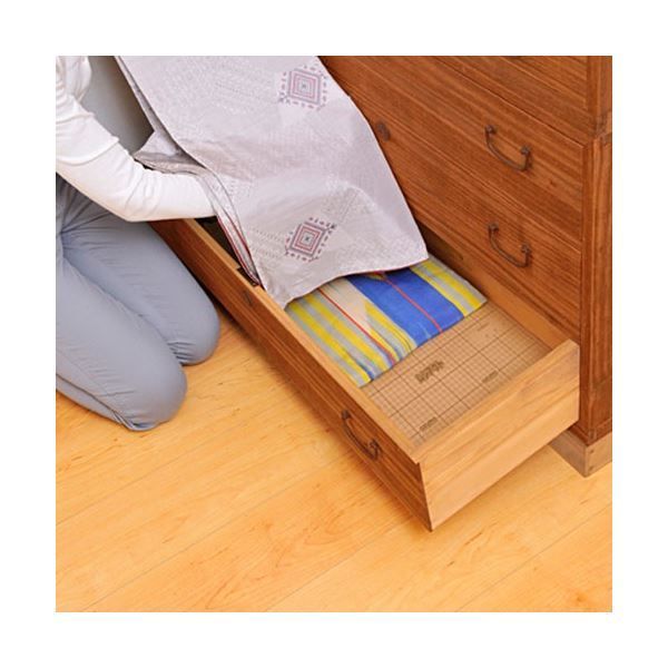 まとめ アズマ工業 防虫シート ムシアウトH タンス用 CH876 1パック 4枚 ×10セット