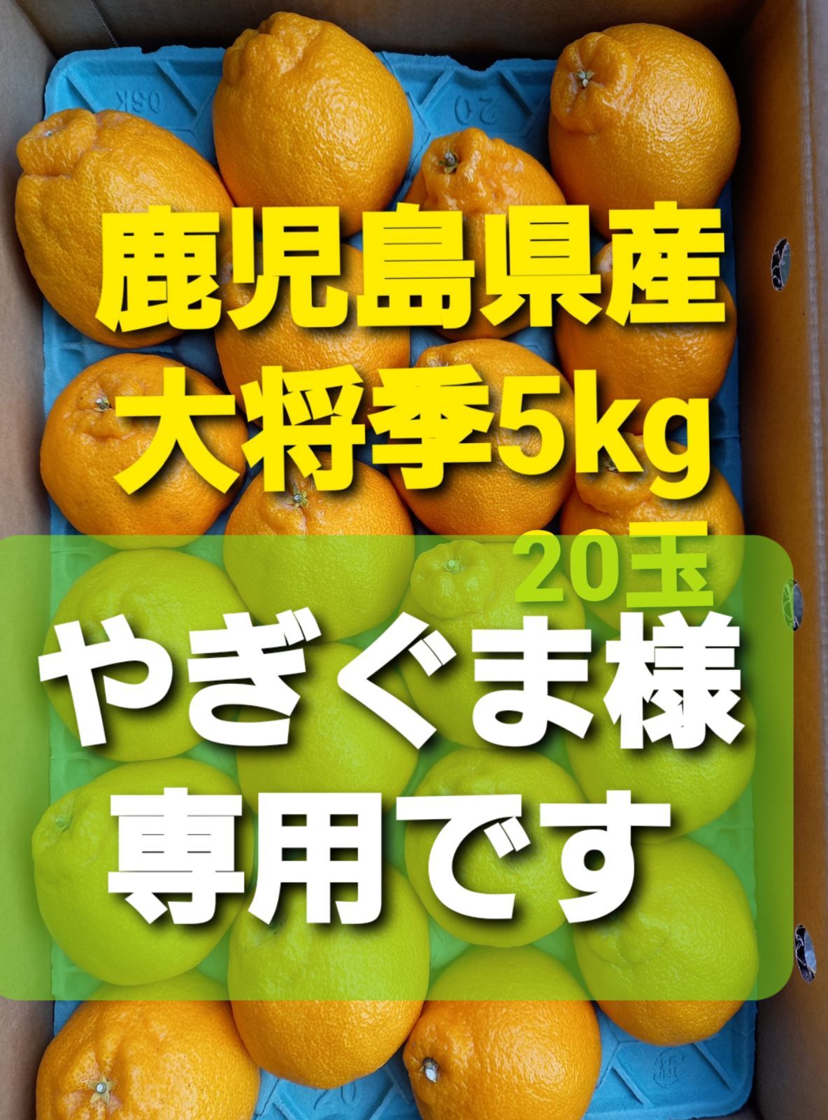 やぎぐま様専用です。大将季5kg20玉 - メルカリ