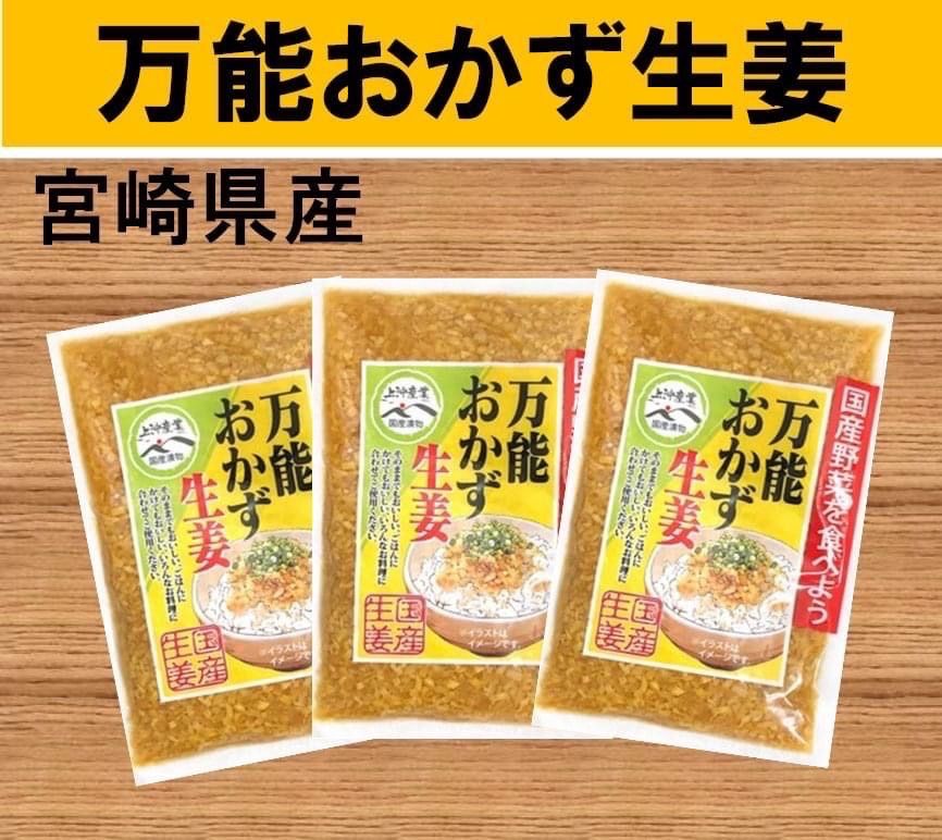 宮崎のお漬物】万能おかず生姜 130g×3袋 お漬物 - メルカリShops