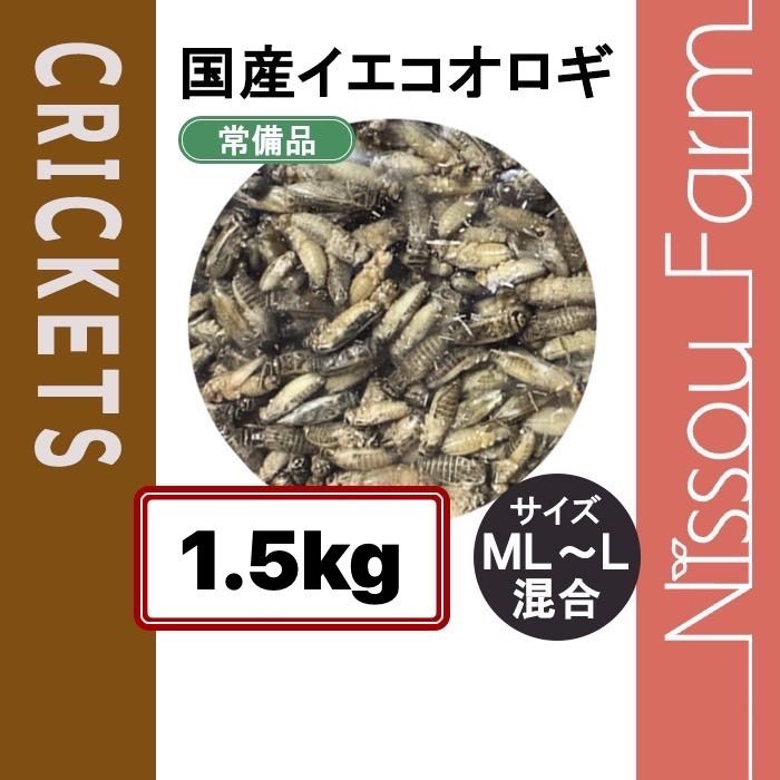 Tamarack アウトレット 17-up ツーリング用ロワリングキット こだわり