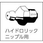 7営業日以内発送