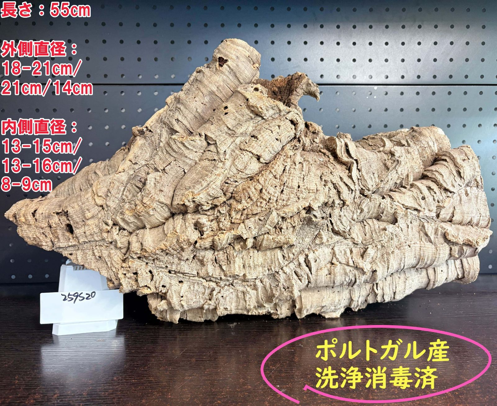 259S20 ポルトガル産 キャノンコルク コルク樹皮 コルク板 バージンコルク チランジア ビカクシダ 着生ラン 両生類 爬虫類