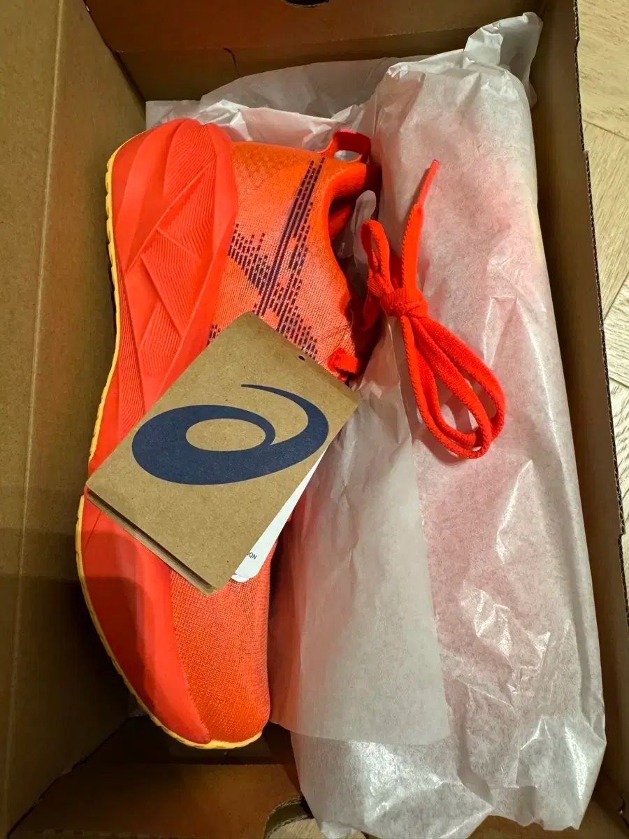 アシックス ノヴァブラスト5 240