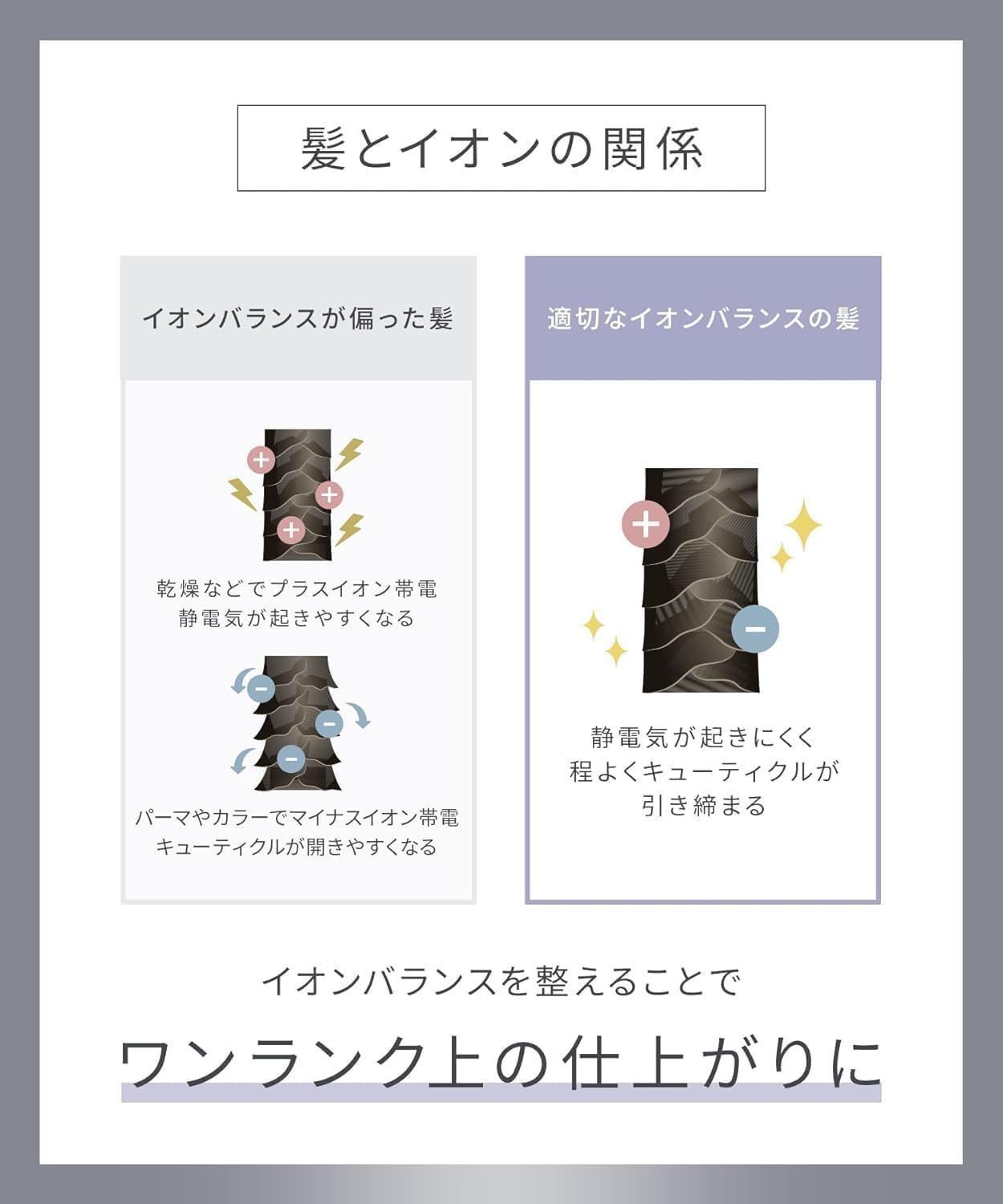 SALONIA サロニア