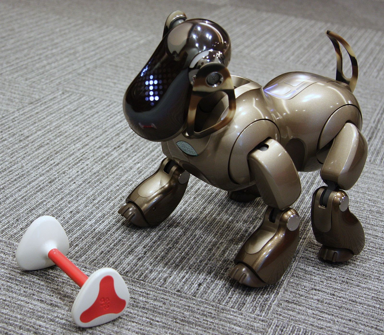 Entertainment Robot