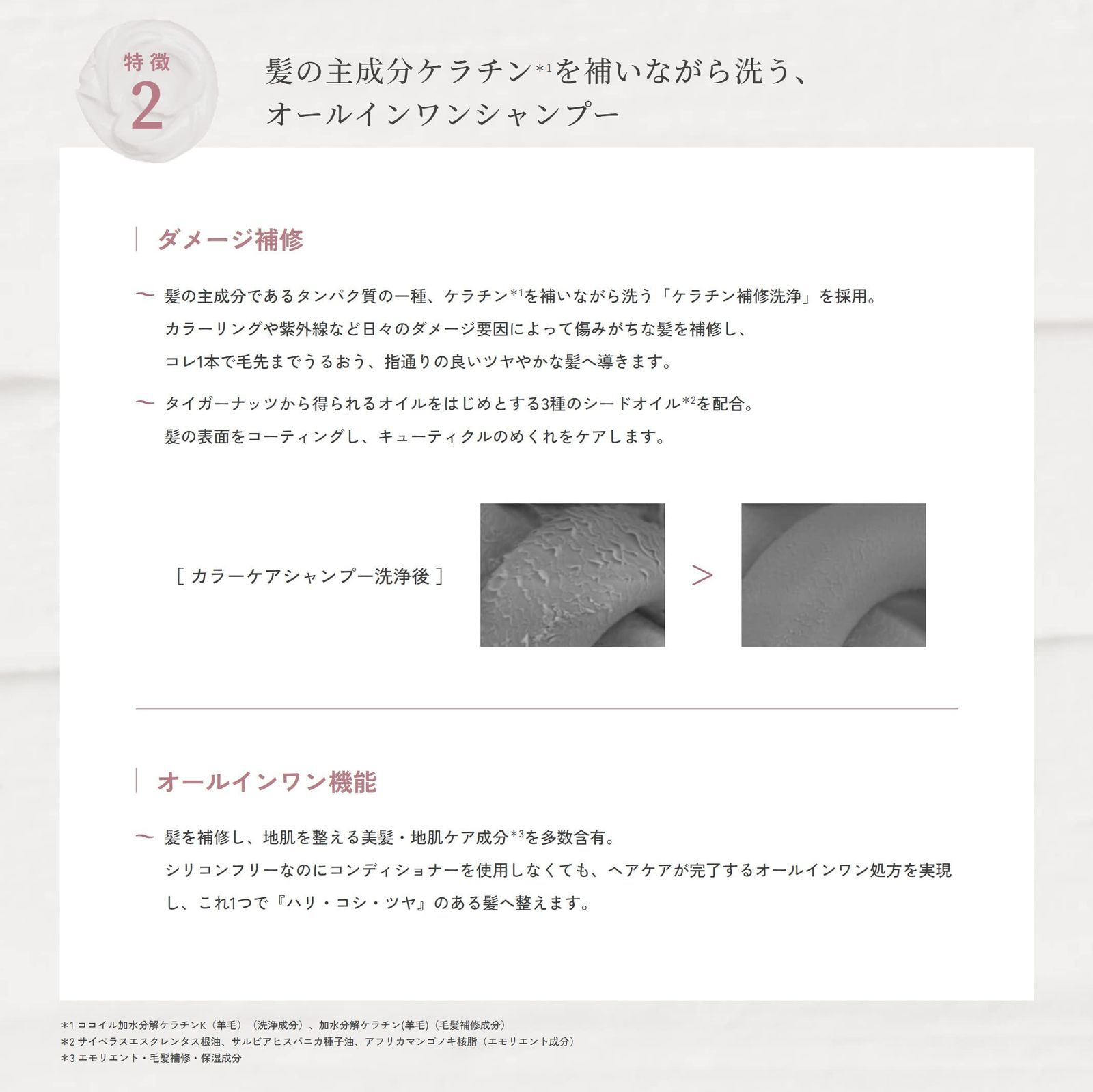 七事式〈裏千家茶道〉花寄之式 仙遊之式 雪月花之式 七事式(裏千家茶道