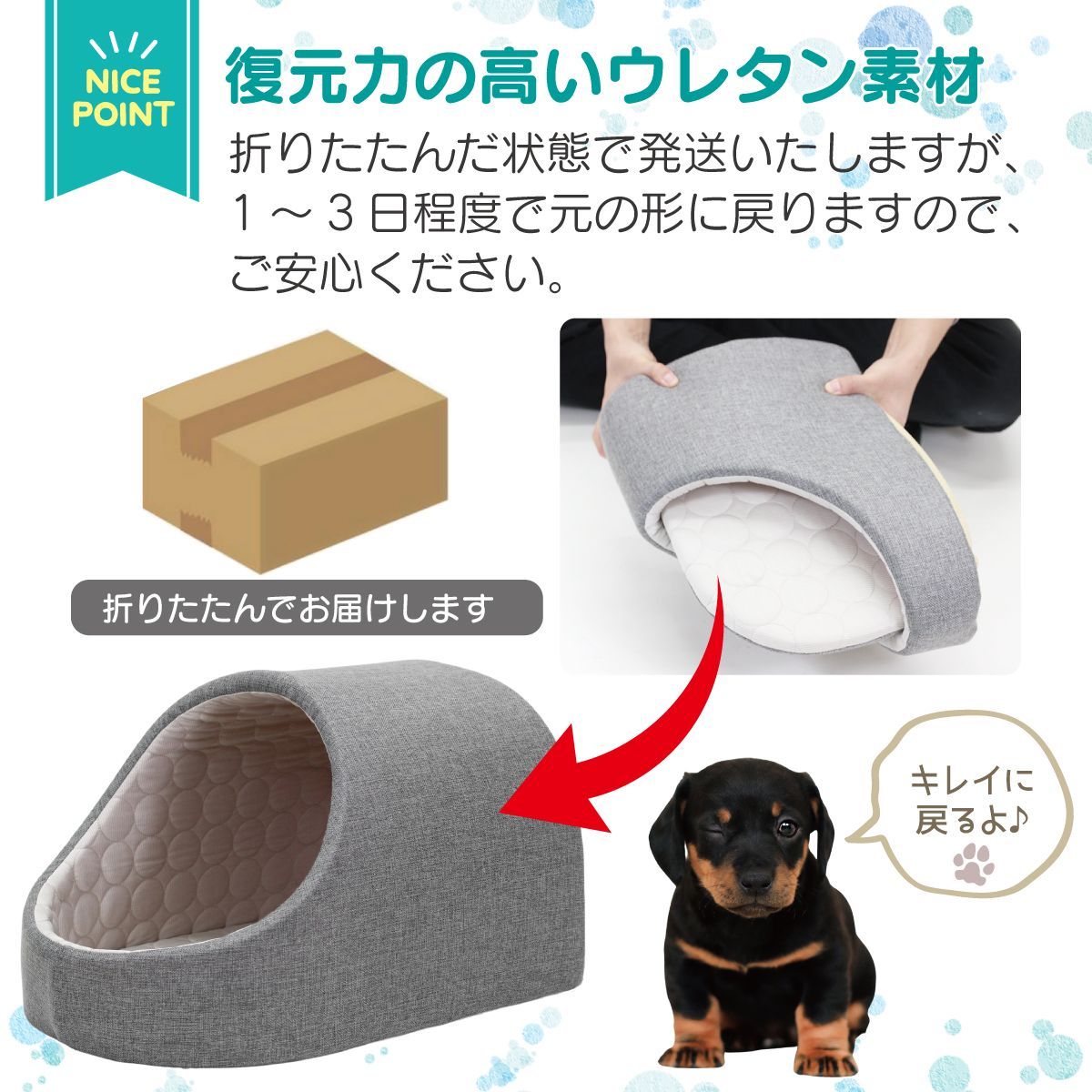 PetStyle
