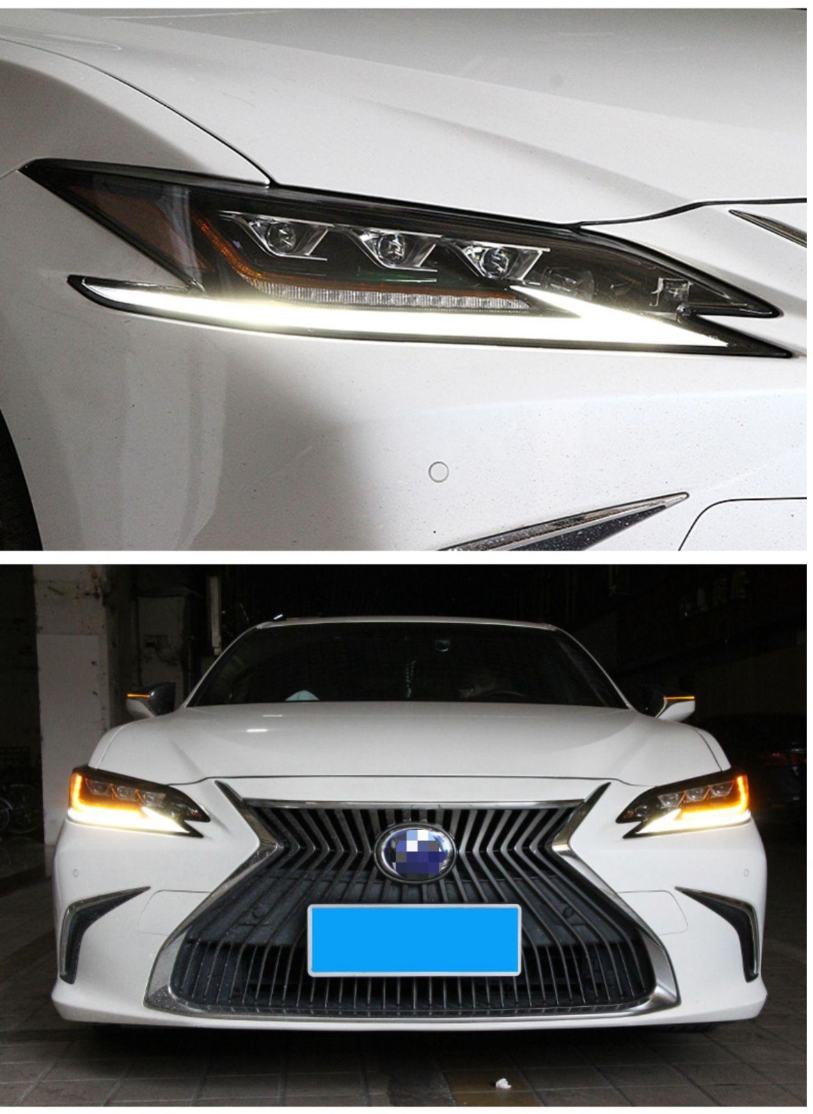 ZYP37注目シリーズ