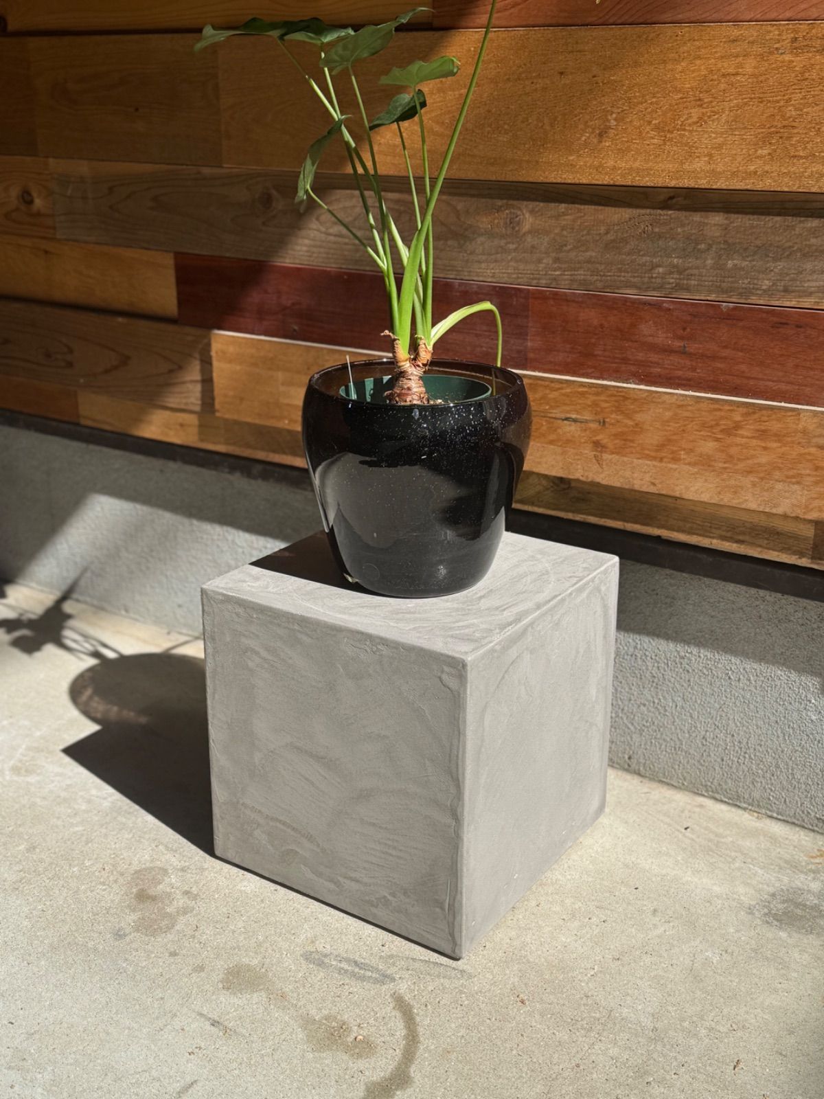 モールテックスボックス s多用途 🌿