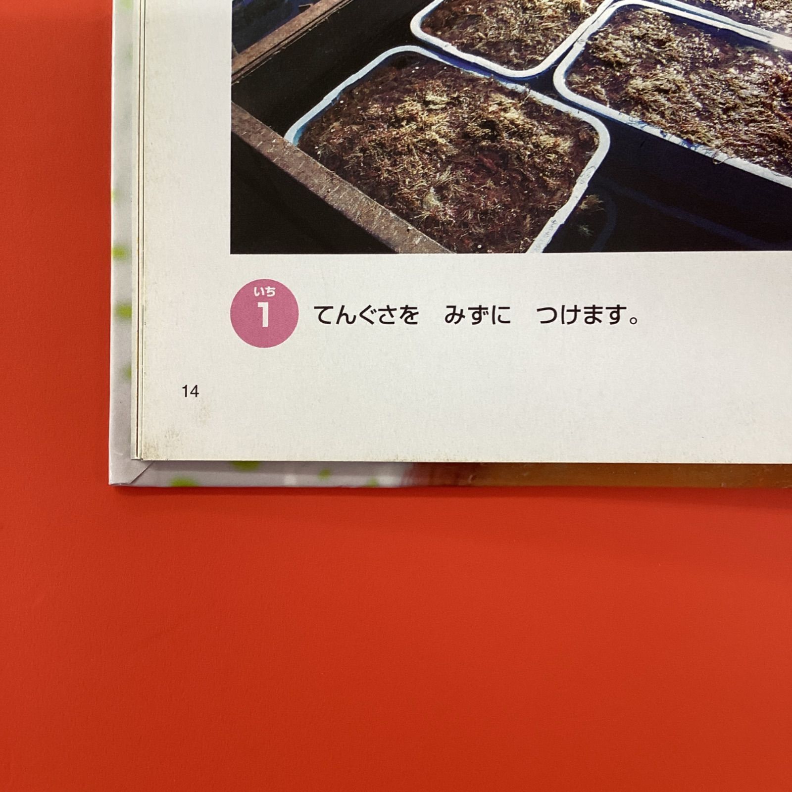 キンダーブックしぜん かんてん／おすし／さくら 絵本3冊セット