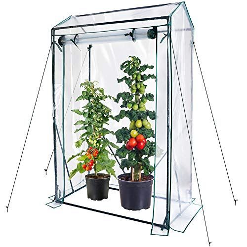 日本画 梅 額装 谷井俊英 F15 51×64cm 68×81cm 2519