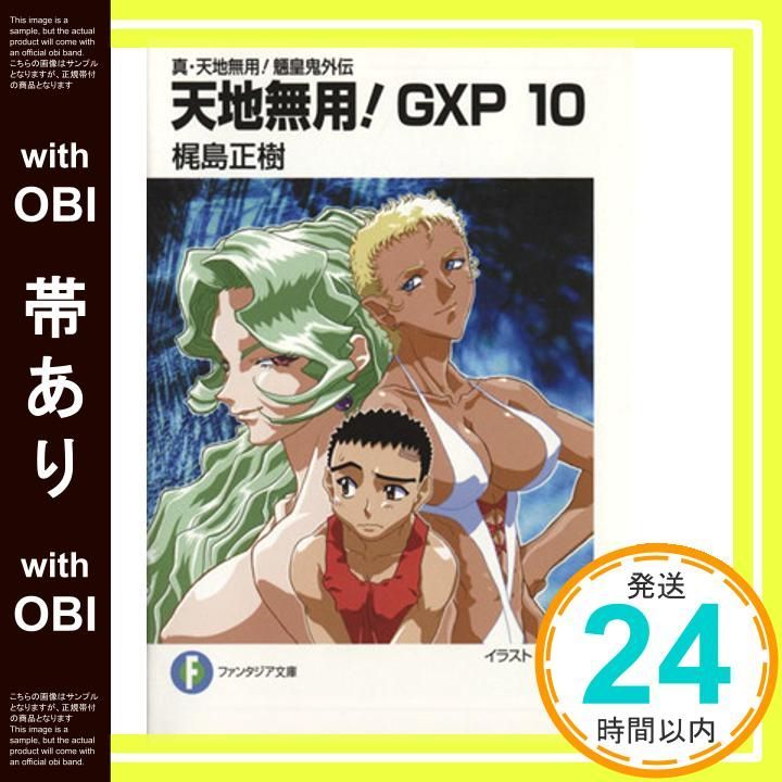 真・天地無用！魎皇鬼外伝 「天地無用！GXP」 1-17巻セット