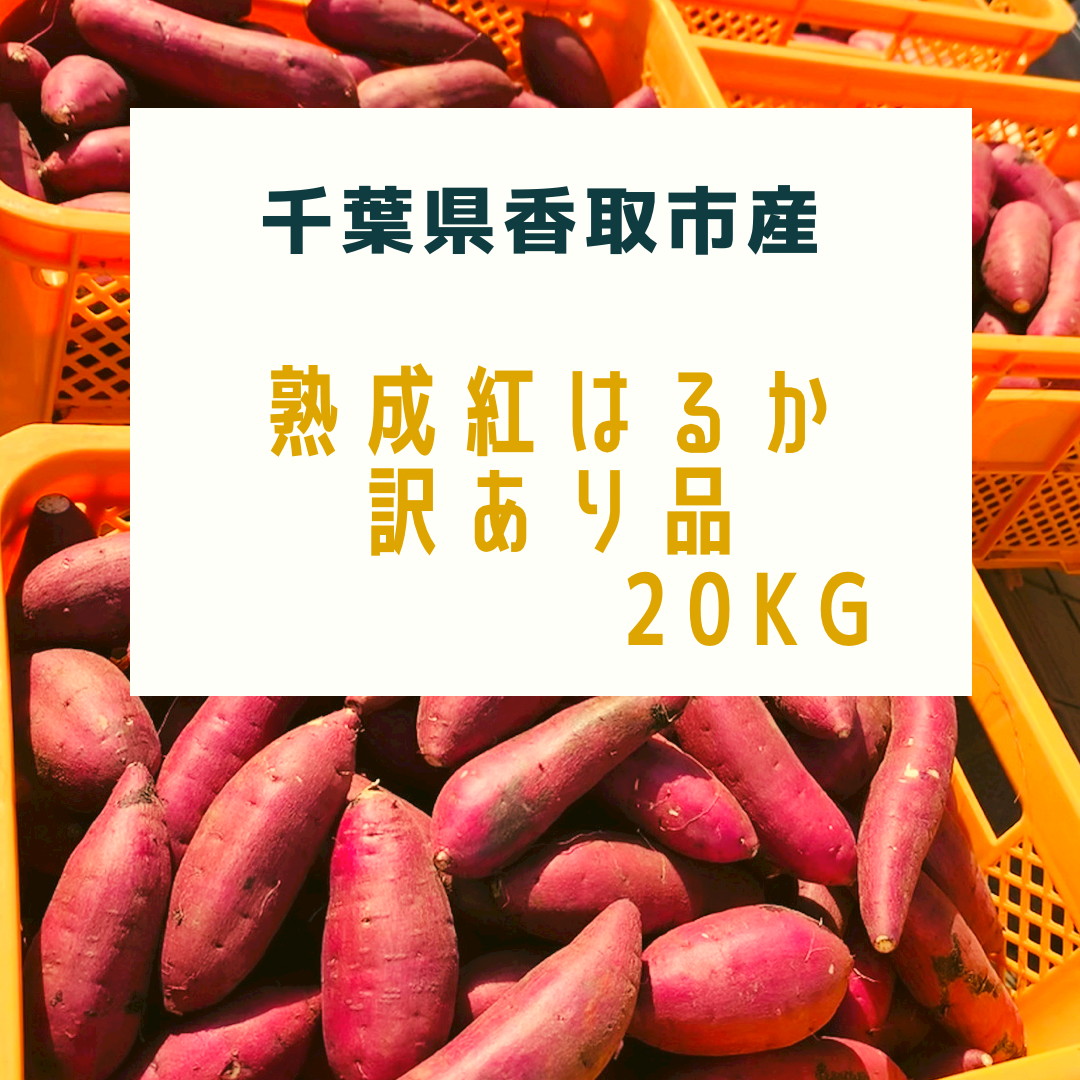 熊本県産 熟成紅はるかMサイズ20キロ - 野菜