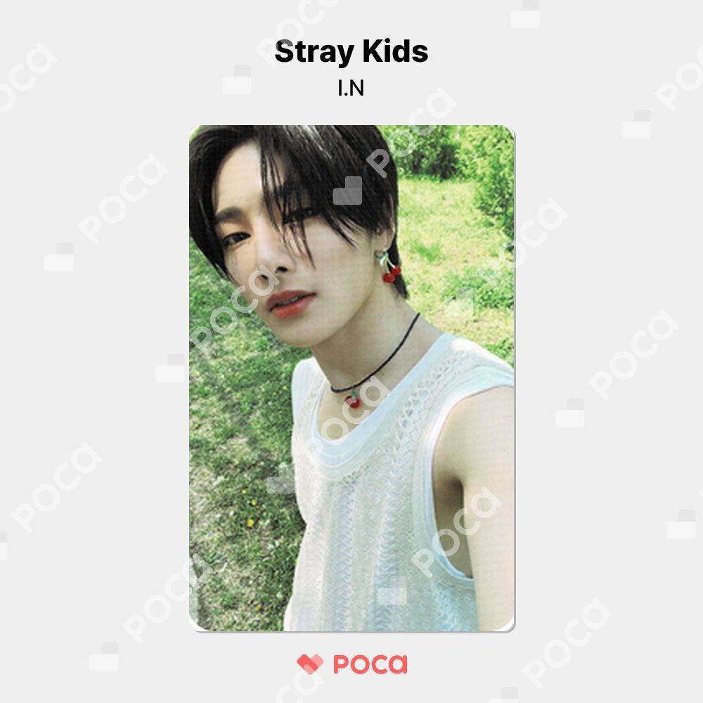 straykids アイエン スキズ トレカ MAXIDENT アルバム 公式